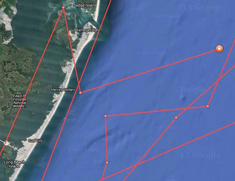 Mary Lee's curious track. (OCEARCH)