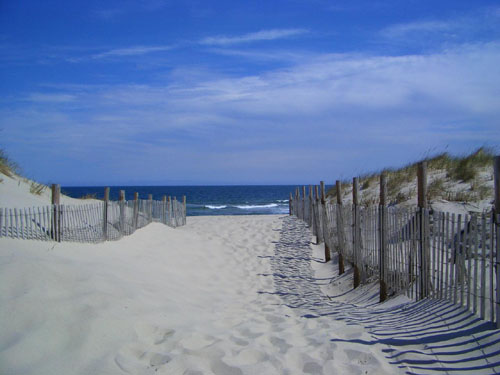 Dunes in Seaside Park (File Photo)