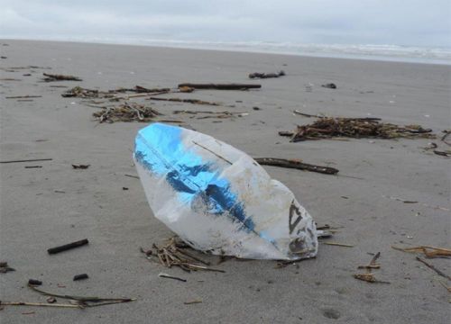 A deflated balloon on a beach. (Courtesy: NOAA/Credit: Russ Lewis)