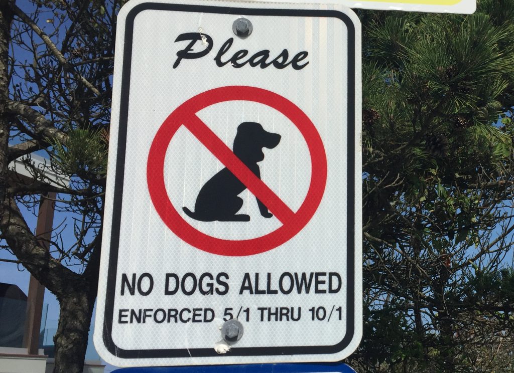 No dogs allowed on the beach. (Photo: Daniel Nee)