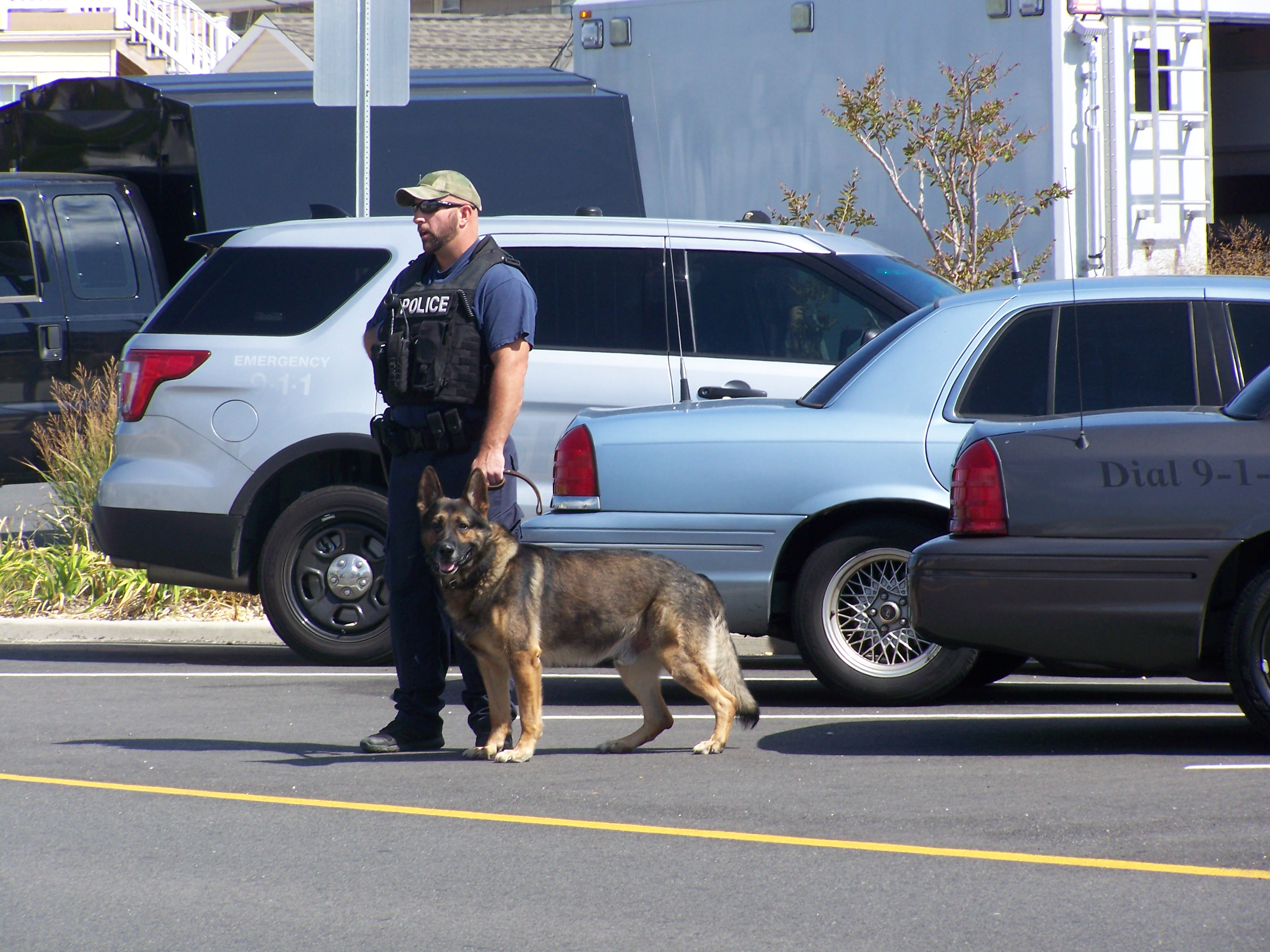 A police K9 in Seaside Park, following an explosion, Sept. 17, 2016. (Photo: Bob Vosseller)