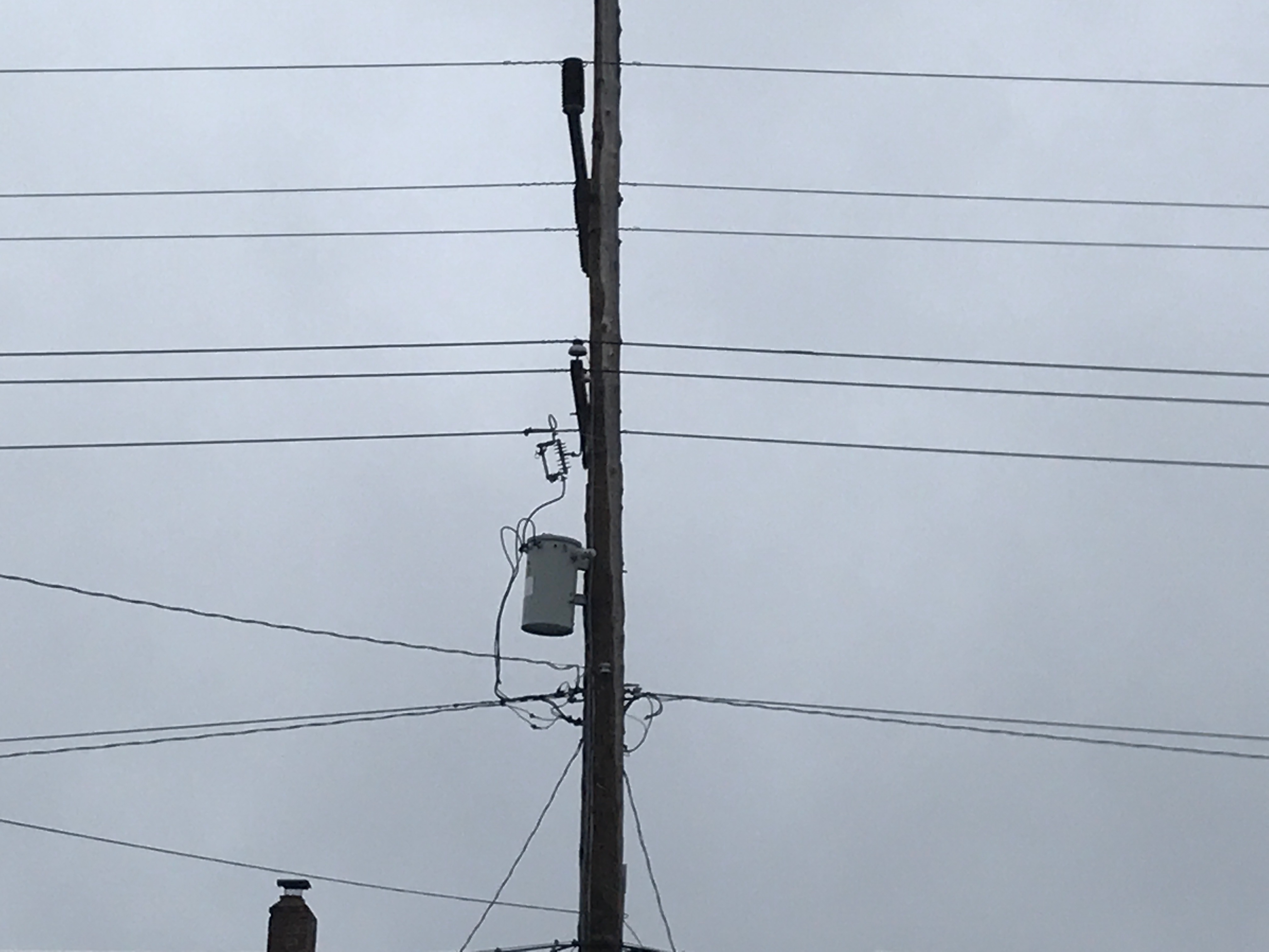 An utility pole with electrical equipment. (Photo: Daniel Nee)