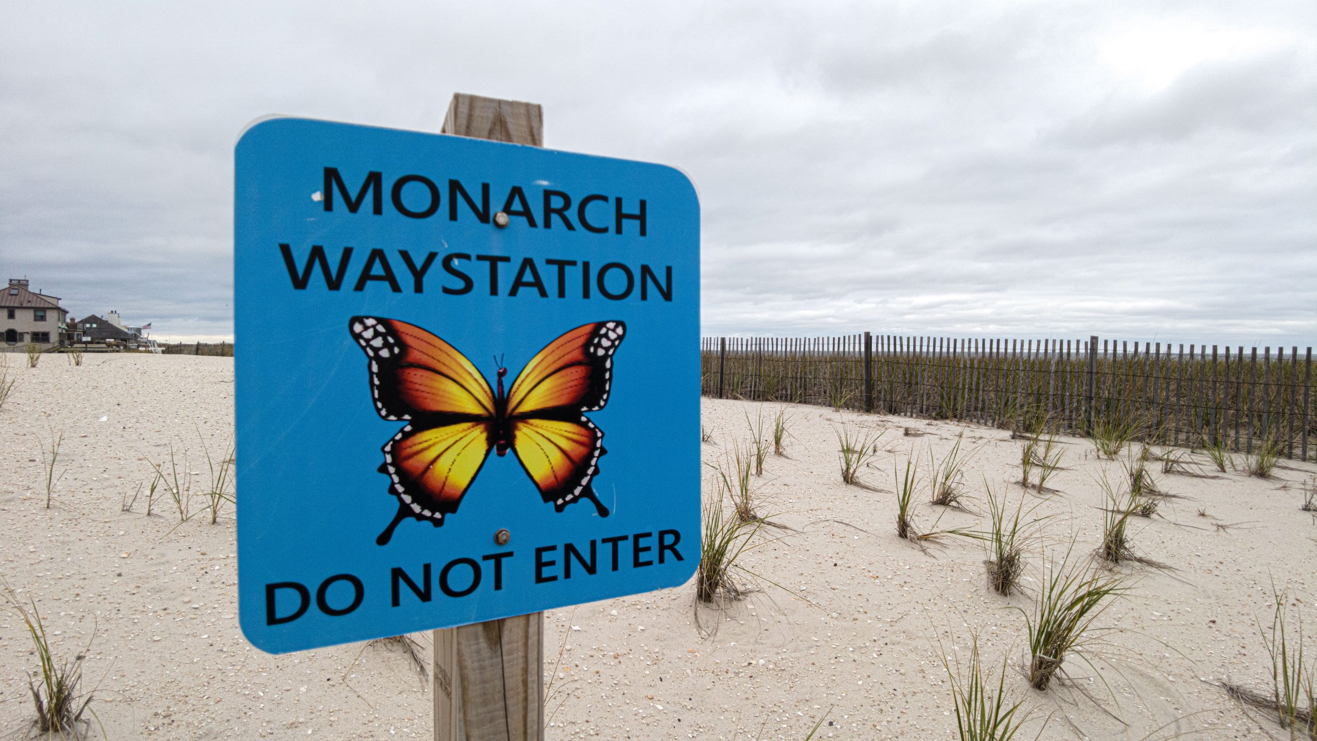 Monarch Waystation sign at Brick Beach III. (Photo: Daniel Nee)