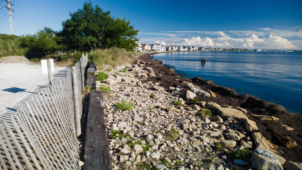 The shoreline along the Seaside Park municipal marina, Aug. 2022. (Photo: Daniel Nee)