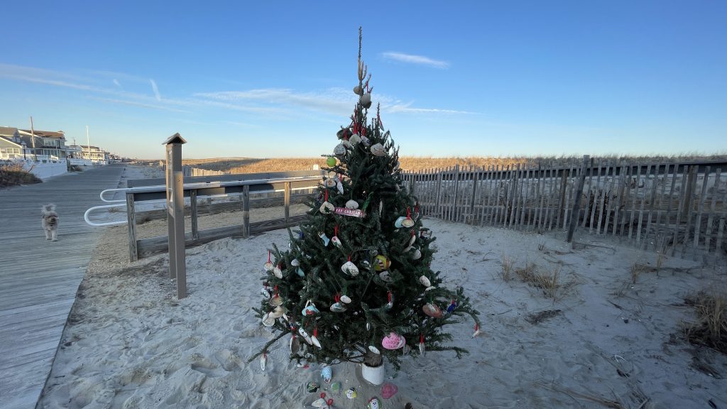 Lavallette's new, oceanfront community Christmas tree on Philadelphia Avenue, Dec. 20, 2022. (Photo: Daniel Nee)