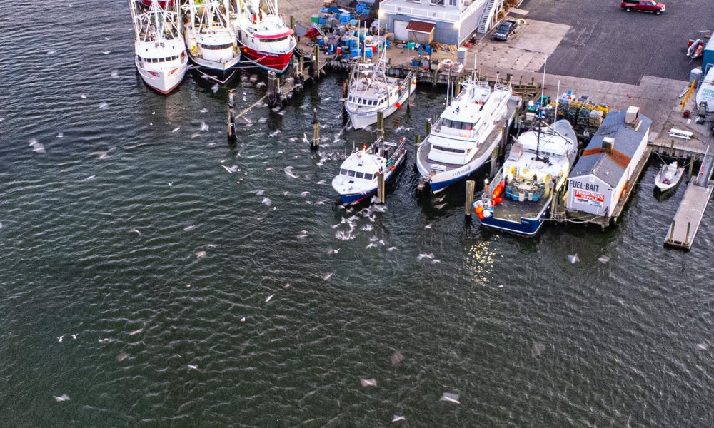 Watch Fishing Boat Returns Home to Point Pleasant Gets Swarmed