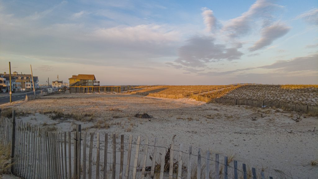 Dunes in Ortley Beach, Feb. 2023, prior to a renourishment project. (Photo: Daniel Nee)