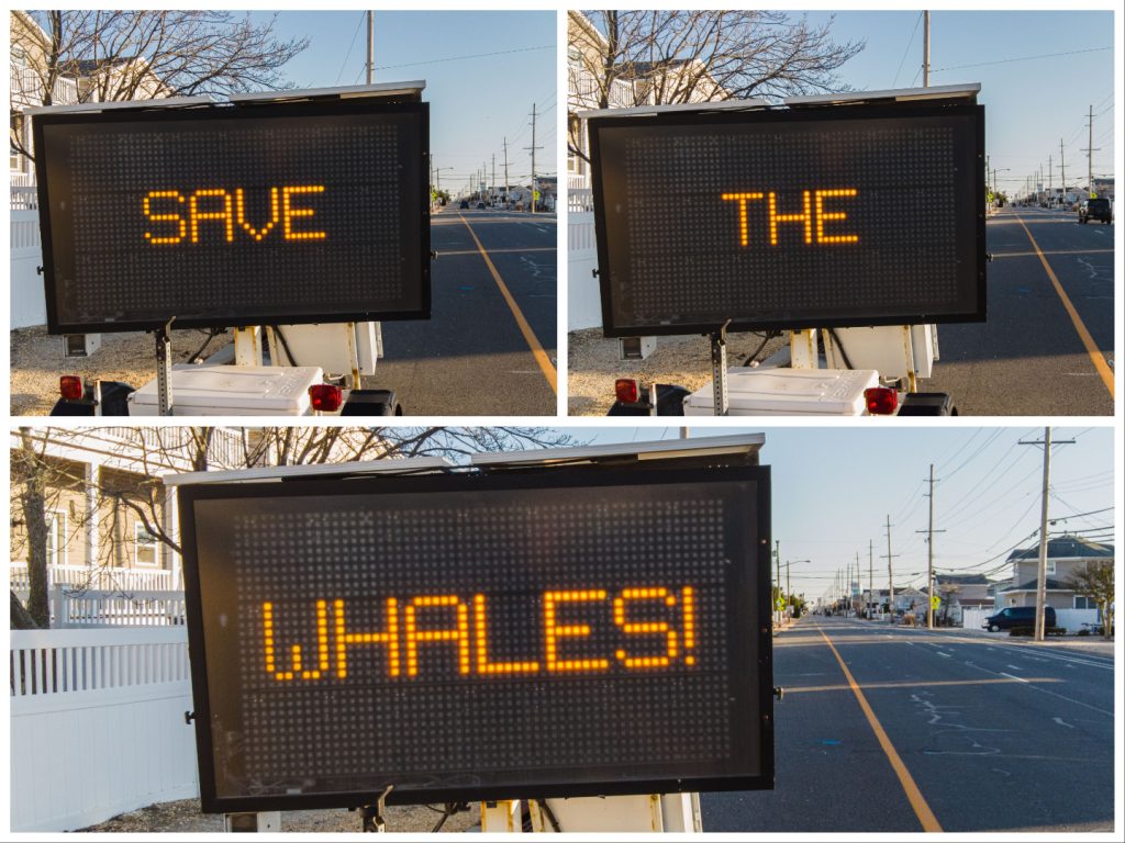 An electronic message board in Lavallette displays 'Save The Whales' along Route 35 South. (Photo: Daniel Nee)