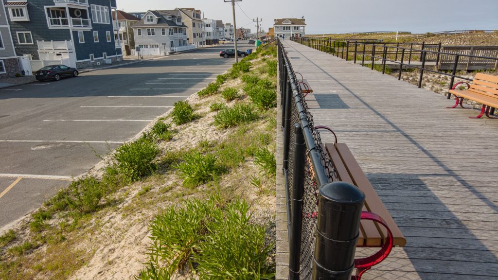 The site of a future pollinator garden along the oceanfront in Ortley Beach, May 2023. (Photo: Shorebeat)