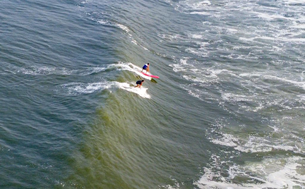 Surfers catch waves near Casino Pier, Aug. 30, 2023. (Photo: Shorebeat)