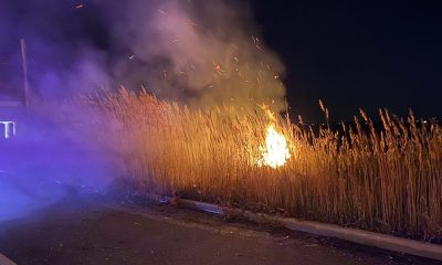 A brush fire on the bayfront in Seaside Park, Nov. 23, 2023. (Photo: SSPPD)