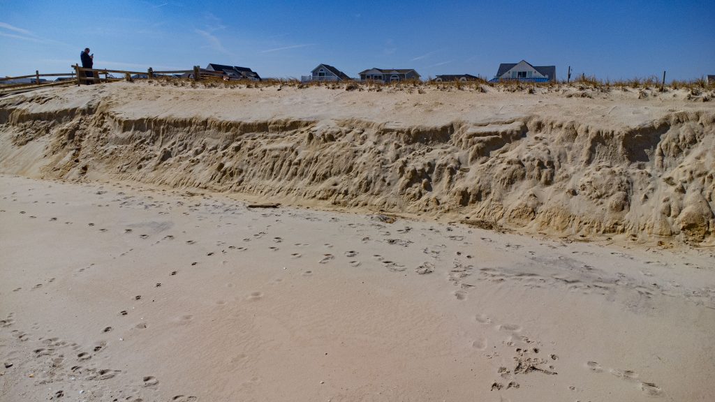 Dune erosion 'cliffs' following multiple nor'easters in a week, Ortley Beach, N.J., March 12, 2024. (Photo: Shorebeat)