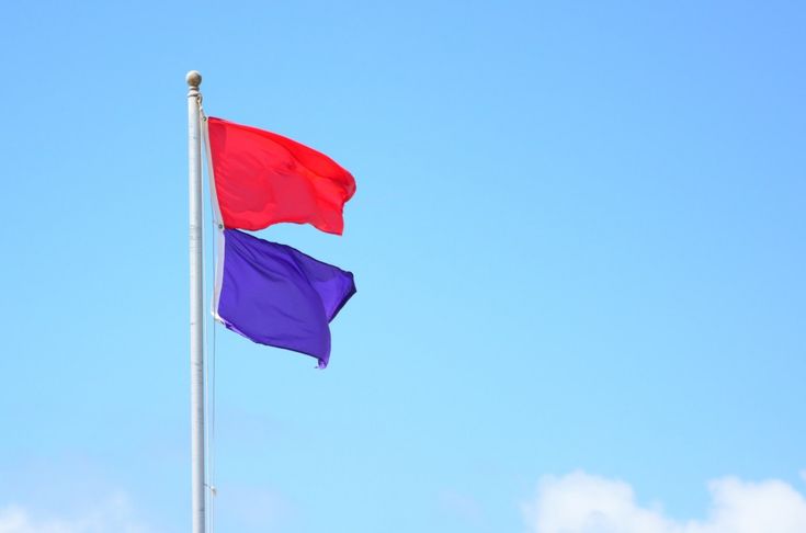 A beachfront flagpole. (Credit: cleanisland.org/ Creative Commons)