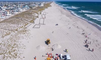 A whale is buried on the Lavallette oceanfront, Sunday, Oct. 6, 2024. (Photo: MMSC)