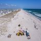 A whale is buried on the Lavallette oceanfront, Sunday, Oct. 6, 2024. (Photo: MMSC)